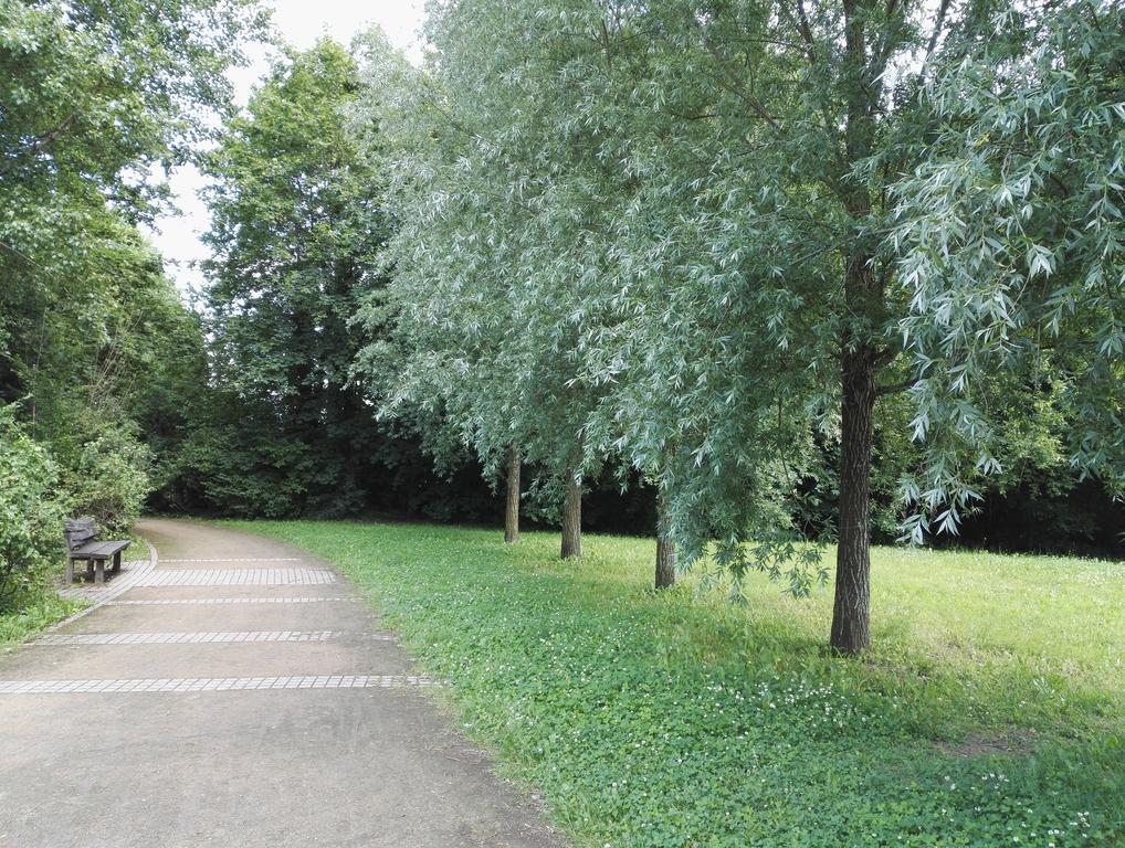 Amsterdam-Einraumwohnung Leipzig Ngoại thất bức ảnh